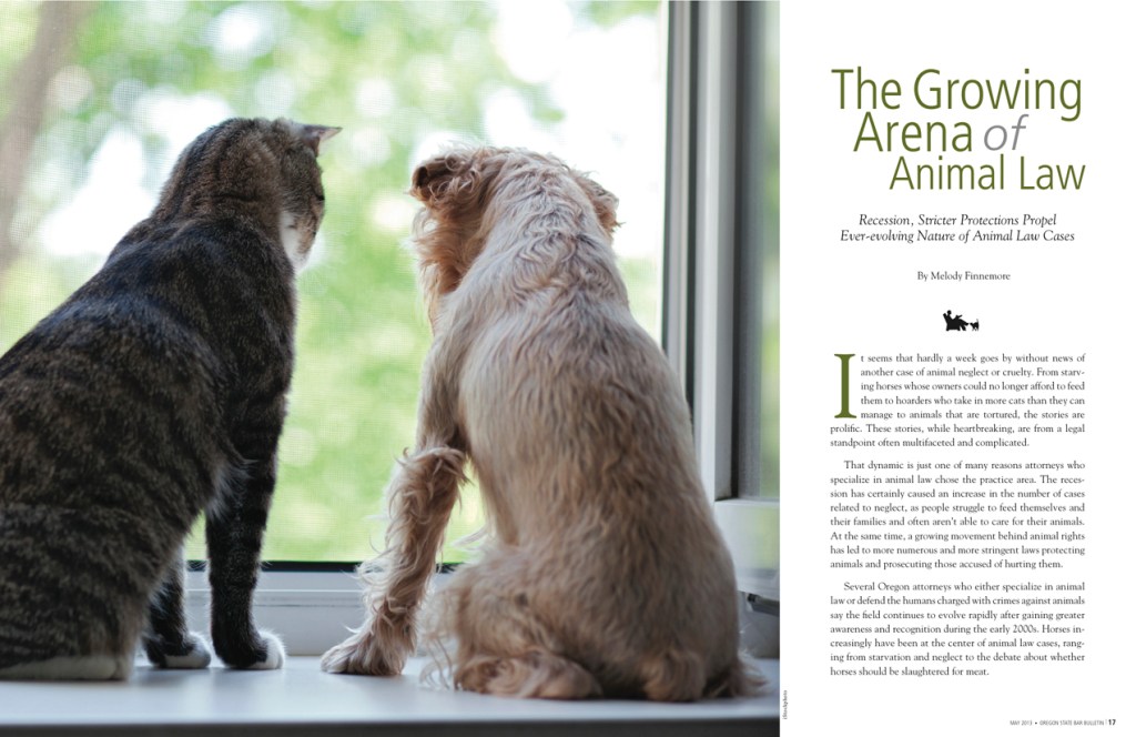 Bulletin 0513 Feature Opening Spread