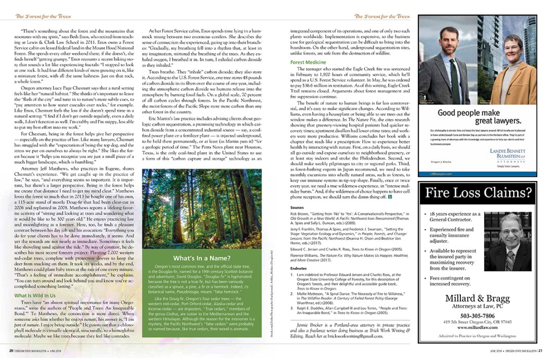 TheForestFortheTree_June2018-3